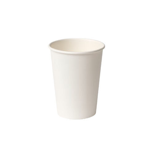 Bagasse 250ml Cups