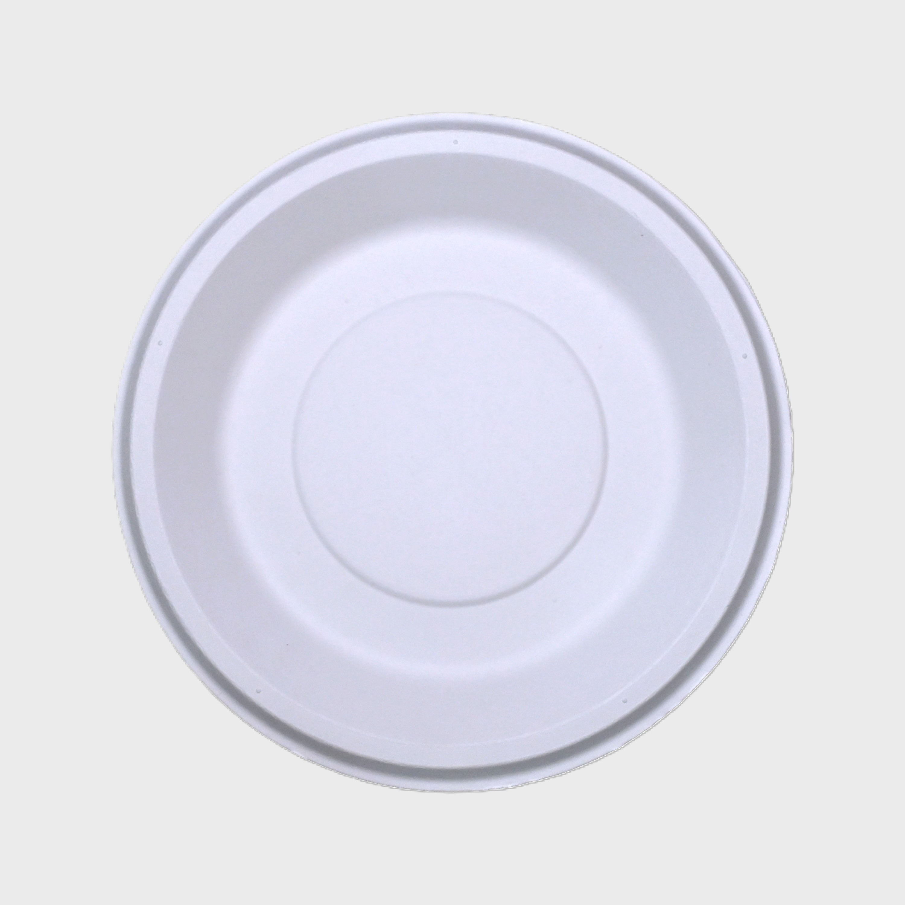 10" Round Plate