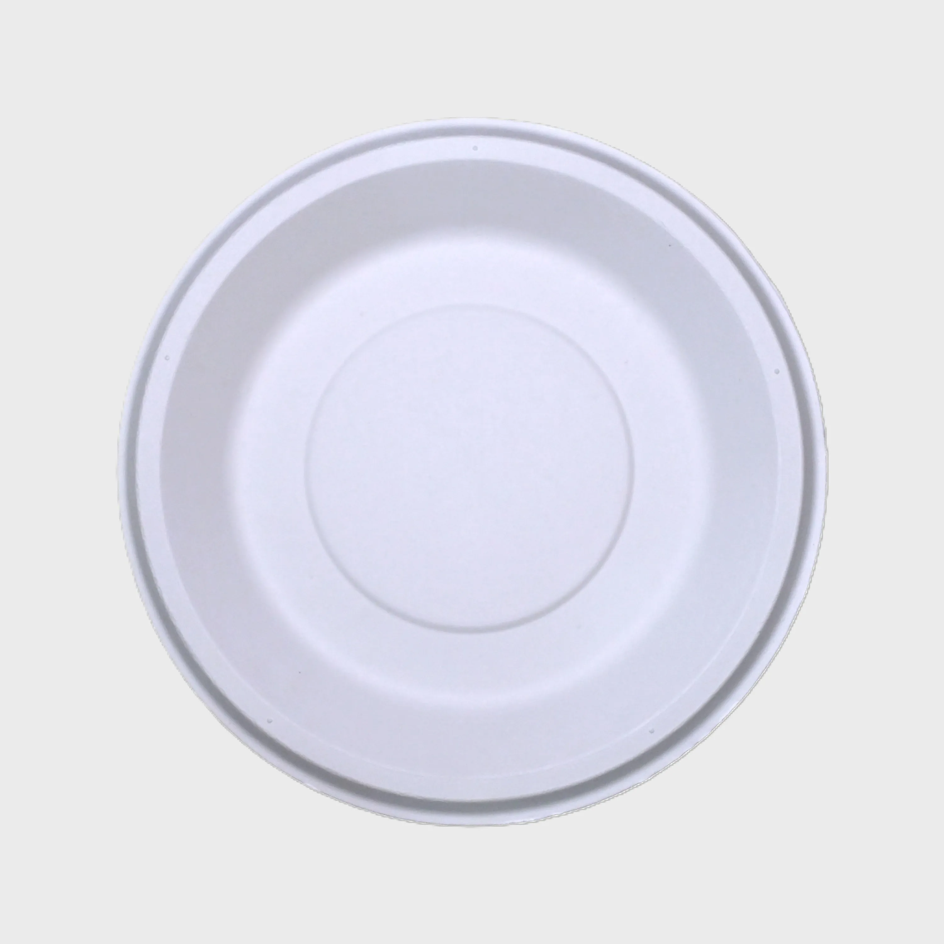 10" Round Plate