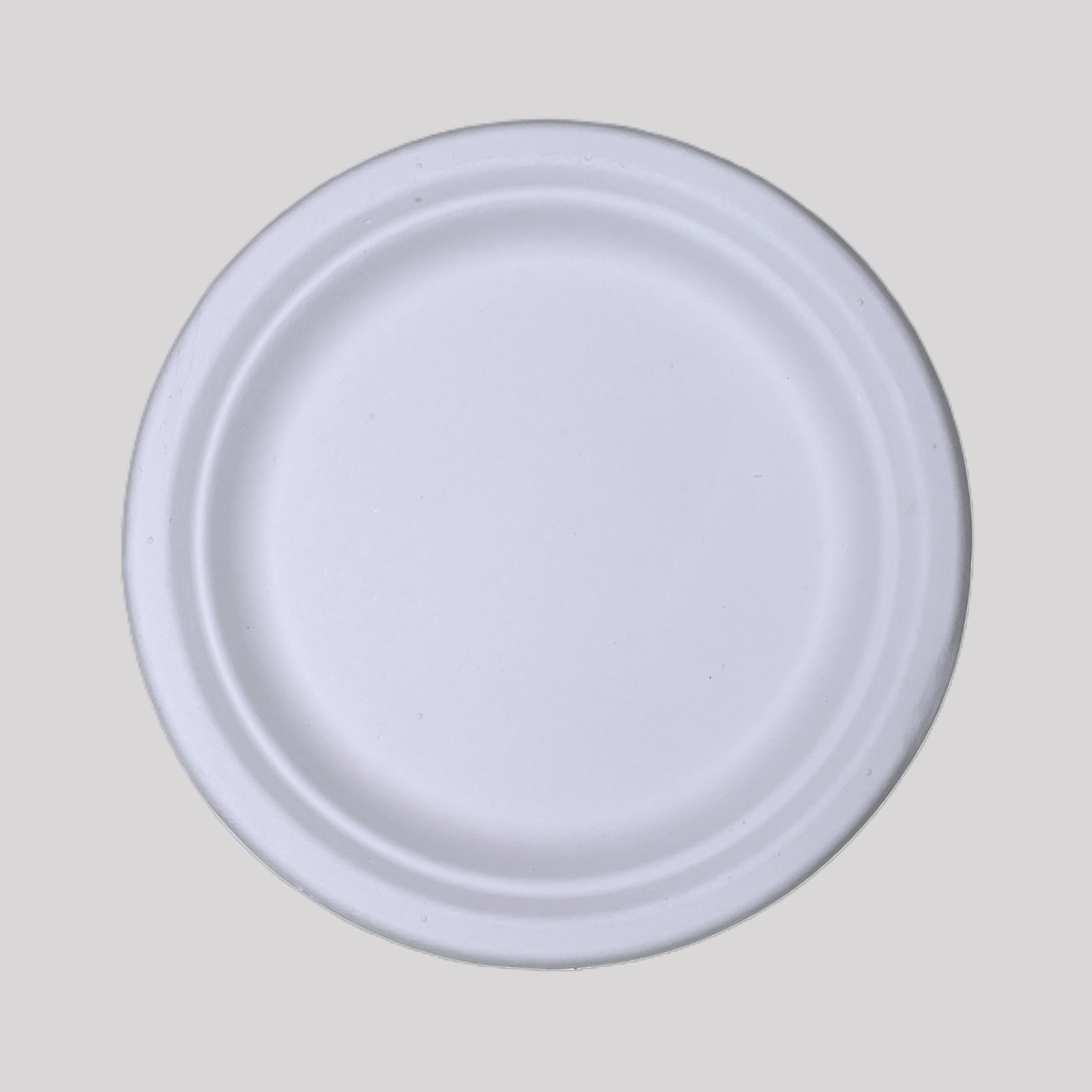 6"Round Plate